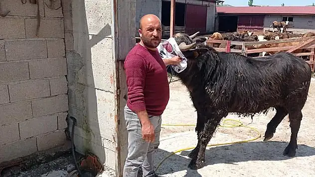 Afyonkarahisar'da komşuların arazi kavgası kanlı bitti: 1 ölü