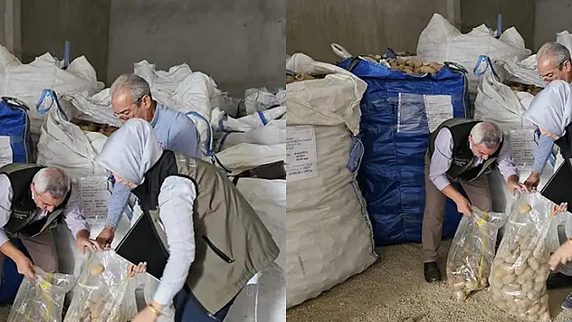 Afyonkarahisar'da Tunus'a 132 ton patates ihracatı yapıldı