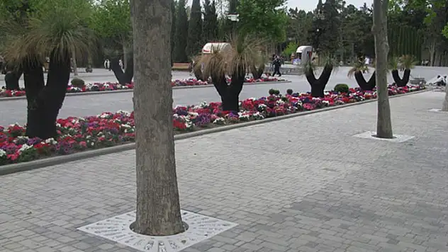 Ağaç dibi ızgarası satın alınacaktır