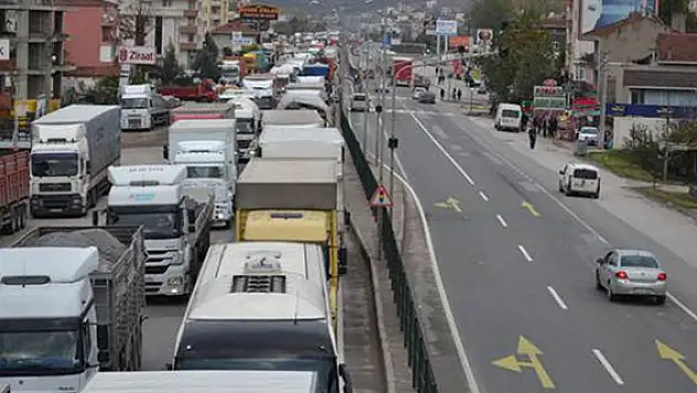 Ağaç katliamı Yalova'yı kilitledi