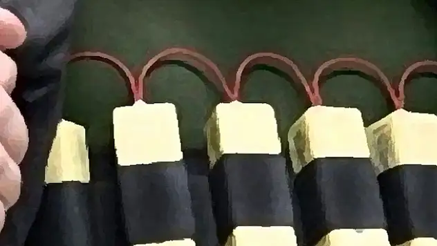 Ağrı'da canlı bomba yakalandı
