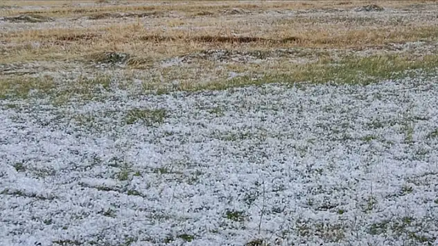 Ağrı'da dolu, tarım arazilerine zarar verdi

