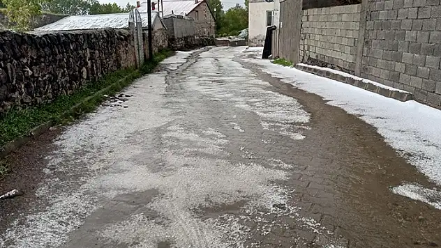 Ağrı'da dolu ve sağanak, Kars'ta ise sağanak etkili oldu
