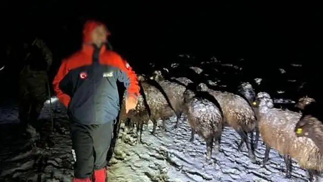 Ağrı'da karda mahsur kalan 3 çoban ve 3 bin küçükbaş kurtarıldı
