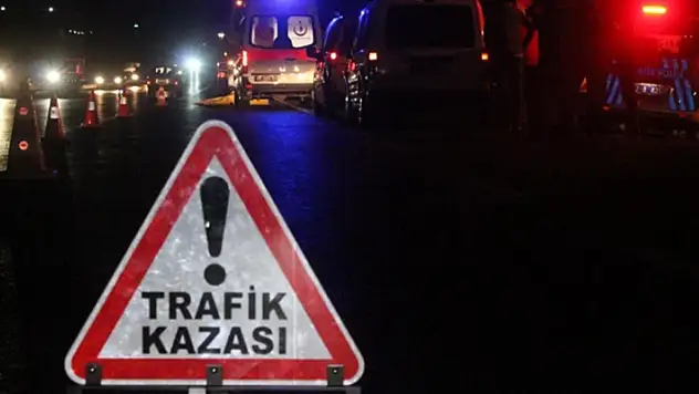 Ağrı'da minibüsün çarptığı 3 kişi yaralandı, 55 koyun telef oldu
