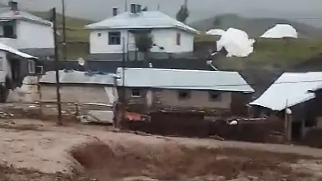 Ağrı'da yıldırım düşmesi sonucu çoban yaralandı
