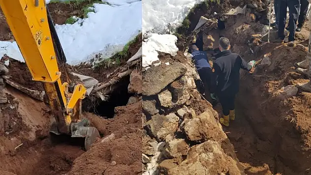 Ağrı'da hayvanlar çöken çatının altında kaldı

