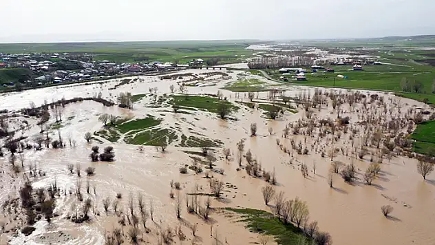 Ağrı'da Murat Nehri'nin taşması sonucu tarım arazilerini su bastı