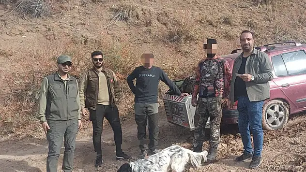 Ağrı'da yasaklı bölgede avlanan şahsa idari ceza