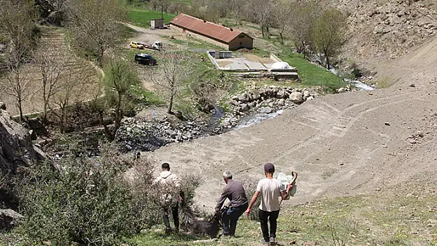 Ahır olarak kullanılan mağaraya kurtlar dadandı: 30 keçi ve 30 oğlak telef oldu
