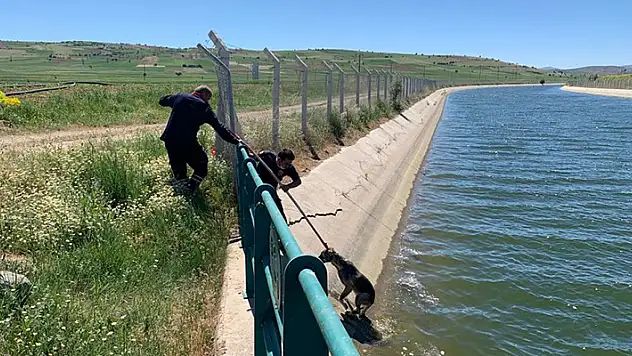 Ahırlı ilçesinde sulama kanalına düşen köpeği itfaiye kurtardı
