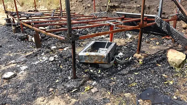 Ahşap barakada çıkan yangında 2 köpeği ile birlikte feci şekilde can verdi
