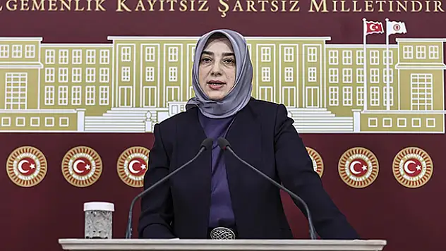 AK Parti Grup Başkanvekili Özlem Zengin'e sosyal medyadan hakarete soruşturma