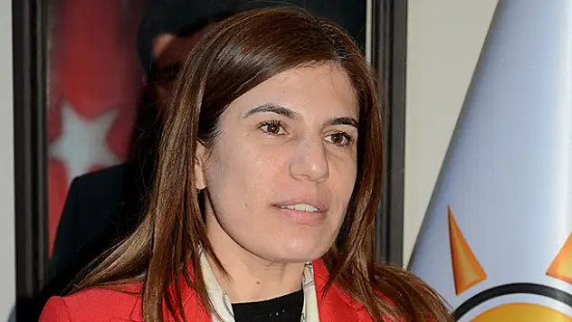 AK Parti'li İncegöz'den Terör Değerlendirmesi
