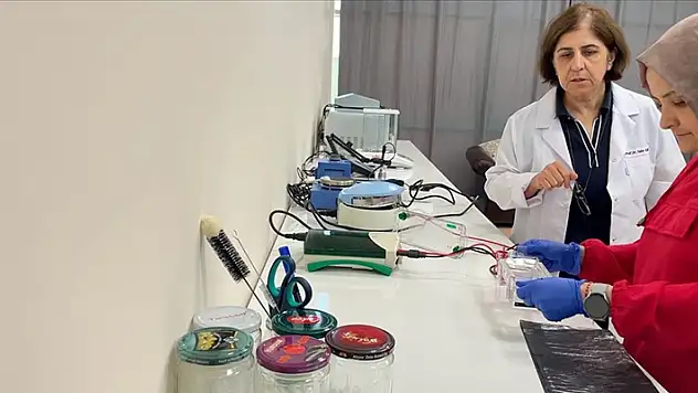 Akademisyenler doğal gıda boyasıyla renkli süt ürünleri geliştirmeyi hedefliyor

