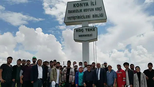 Akademisyenler ve öğrenciler Konya'da Karapınar Koç Teke Üretim Merkezini gezdi