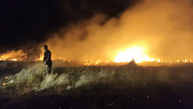 Akçadağ'da bahçe ve sazlık yangını: 25 Kayısı ağacı zarar gördü