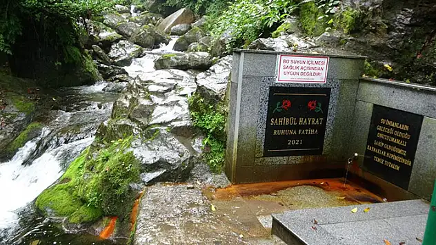 Akılalmaz olay! Rize'de 'şifalı' diye içilen su zehirli çıktı
