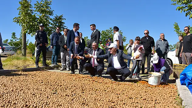 Aksaray'da '3. Geleneksel Ağaçören Ceviz Festivali' başladı