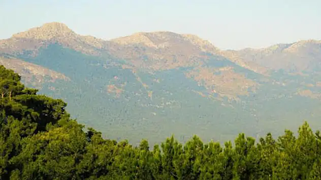 Aksaray'da 30 Eylül'e kadar orman alanlarına girişler yasaklandı
