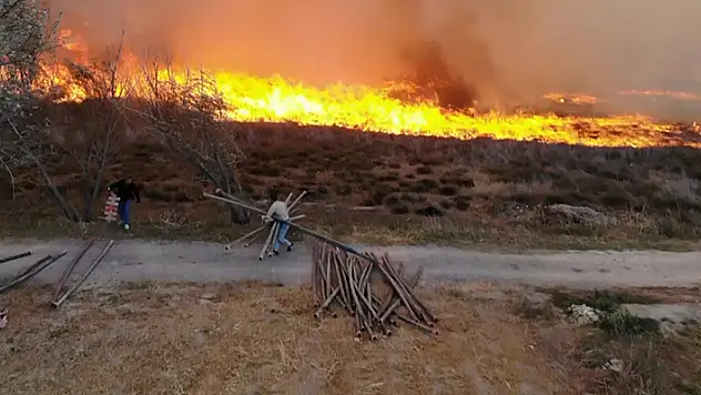 Aksaray'da 400 dönümlük mısır tarlası ve merada yangın çıktı
