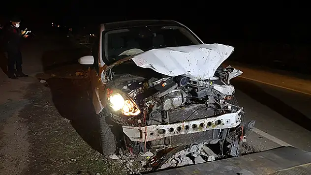 Aksaray'da alkollü sürücü koyun sürüsüne çarptı: 2 kişi yaralandı, 21 koyun telef oldu