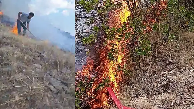 Aksaray'da anız yangını ormanlık alana sıçradı
