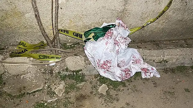 Aksaray'da annesi ve ağabeyini tüfekle vurarak öldüren kişi intihar etti
