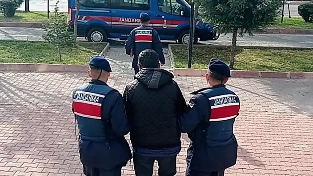 Aksaray'da araçtaki uyuşturucuyu jandarma narkotik köpeği buldu
