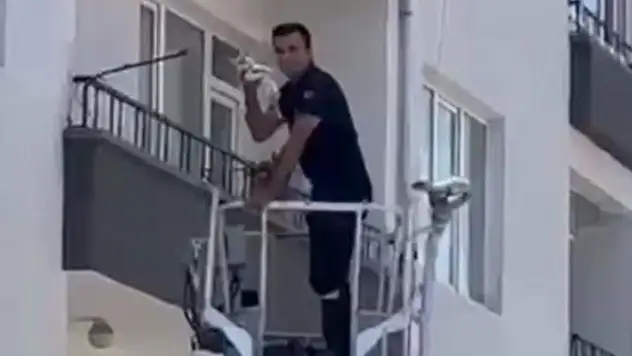 Aksaray'da balkonda mahsur kalan yavru kediyi itfaiye kurtardı
