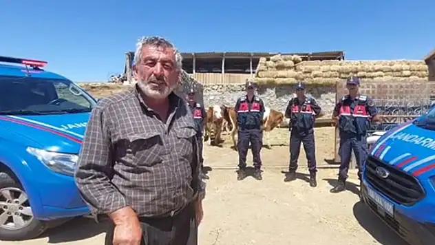 Aksaray'da çalınan 8 büyükbaş kurbanlık, Şanlıurfa'da bulundu