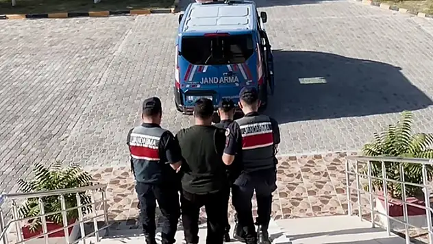 Aksaray'da evinin bahçesinde kenevir yetiştiren şahıs tutuklandı
