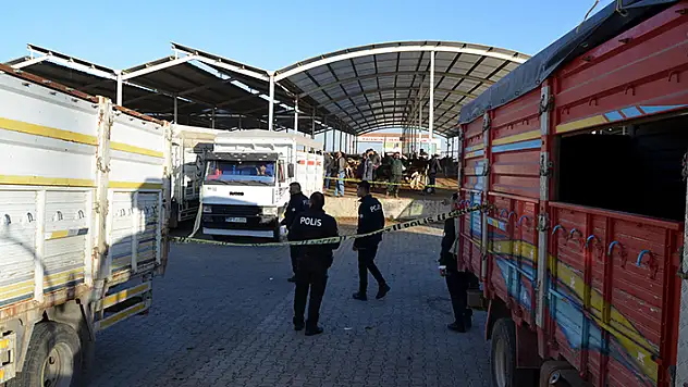 Aksaray'da hayvan pazarındaki kavgada 2 kardeş sırtından vuruldu

