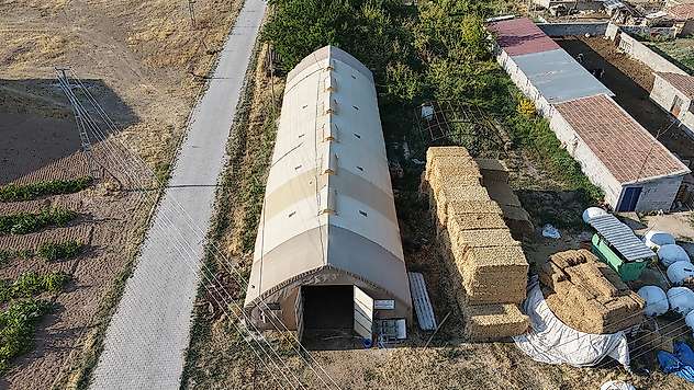 Aksaray'da hayvancılıkta şaşırtan dönem! KOP desteğiyle yaygınlaşıyor