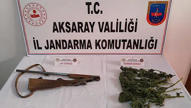 Aksaray'da jandarma odunlukta esrar ve tüfek ele geçirdi