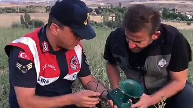 Aksaray'da kaçak avcıların ses oyununu jandarma bozdu
