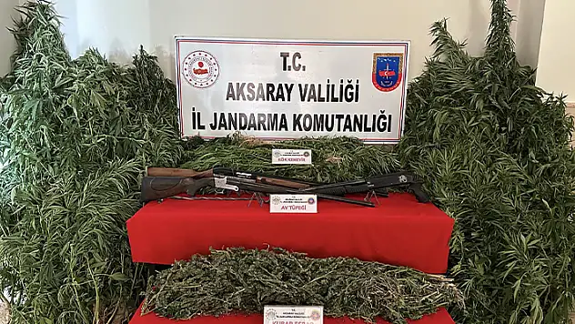Aksaray'da kenevir bahçesine jandarma baskını: 3 gözaltı
