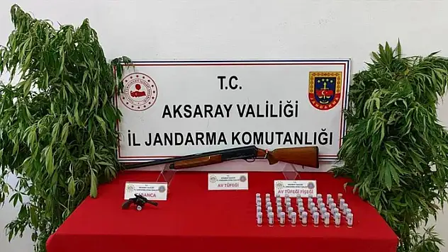 Aksaray'da kenevir yetiştirip uyuşturucu ticareti yapan 3 şahıs operasyonla yakalandı
