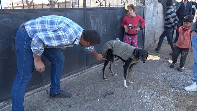 Aksaray'da köpek yumurtaları yedi, komşu kavgasında tüfek, taş ve sopalar konuştu: 3 yaralı

