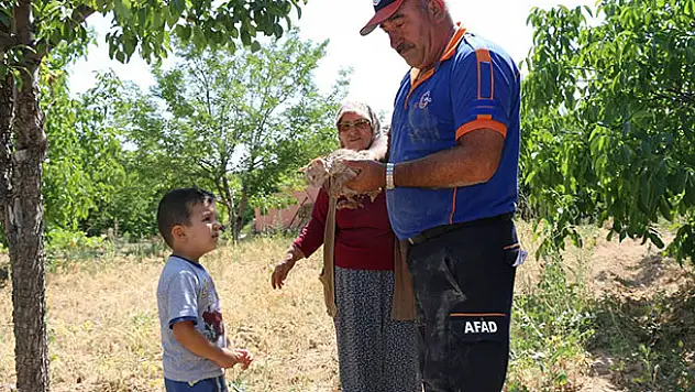 Aksaray'da kuyuya düşen yavru kedi kurtarıldı