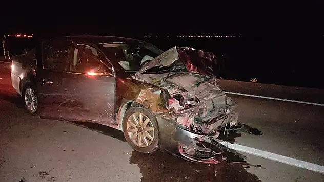 Aksaray'da otomobilin çarptığı sürüde 15 koyun telef oldu
