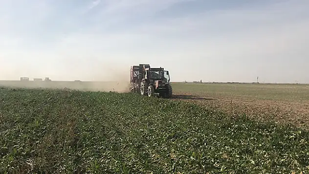 Aksaray'da pancar hasadı sürüyor