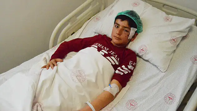 Aksaray'da pitbull dehşeti: 12 yaşındaki küçük çocuk ölümden döndü
