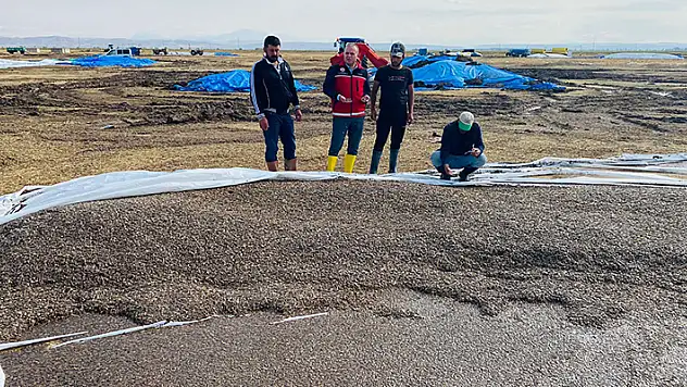 Aksaray'da sağanak ile dolu tarım arazileri ve mahsullere zarar verdi