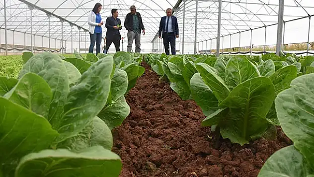 Aksaray'da sera projeleri üreticinin yüzünü güldürüyor