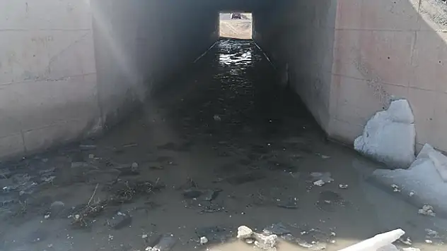 Aksaray'da su dolu menfezden geçen 7 koyun boğularak telef oldu