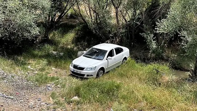 Aksaray'da sürücüsünü arı sokan otomobilin şarampole girmesi sonucu 4 kişi yaralandı
