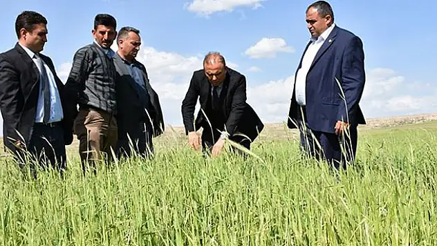 Aksaray'da tarım arazilerinde zarar tespiti yapıldı
