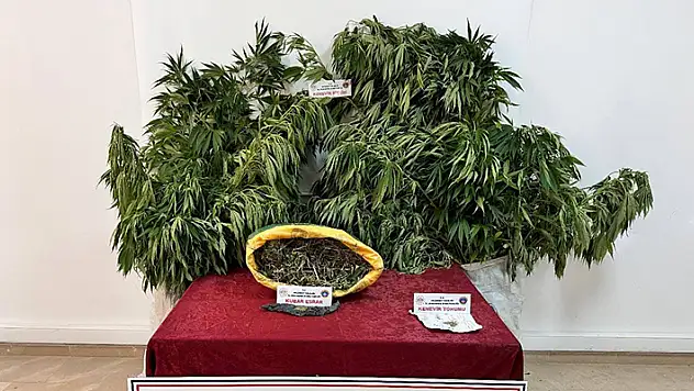 Aksaray'da uyuşturucu operasyonunda yakalanan zanlı tutuklandı
