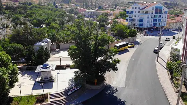 Aksaray'daki 700 yıllık 'Kanlı Pelit' kanlı Moğol baskınının tek canlı şahidi
